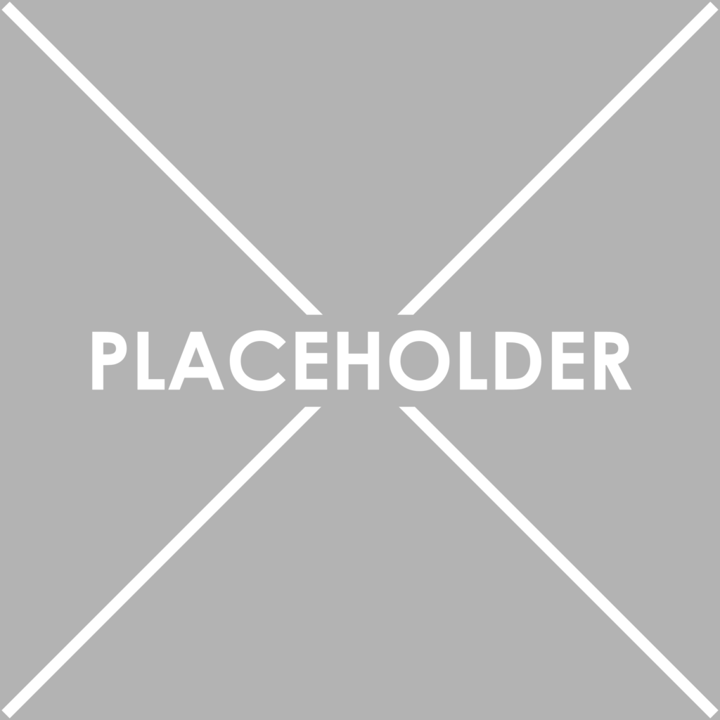 A grey square with the word placeholder in front of it.